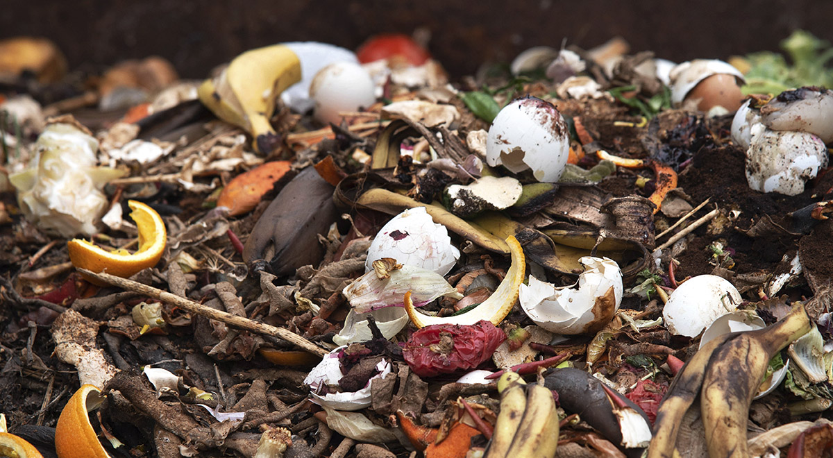 Ya reciclamos vidrio plástico y papel Qué hacemos con los residuos