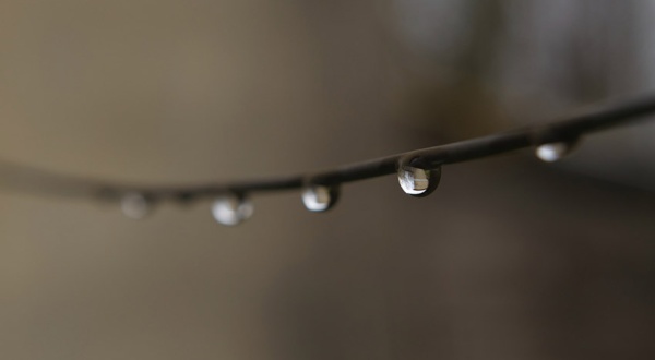 Aprobados 8 millones de euros para cubrir los costes de la producción de agua para riego en Canarias