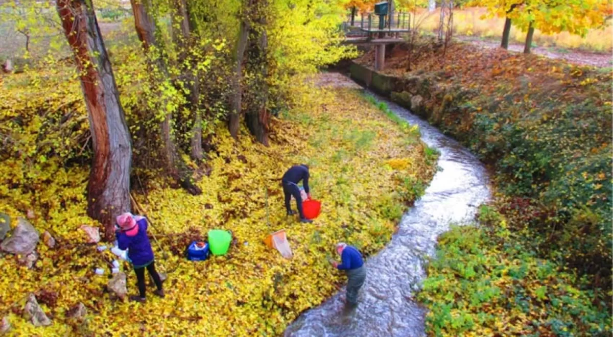 Riesgos ecológicos de metales, plaguicidas y fármacos en la Cuenca del Tajo