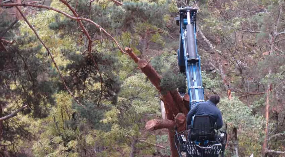 AVEBIOM se une al Foro de Bosques y Cambio Climático