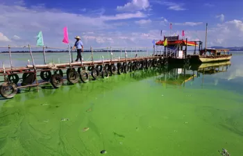 El fósforo: de nutriente a convertirse en un contaminante global