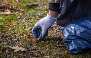 Entidades y administraciones locales se unen a la campaña \'1m2 por la naturaleza\'