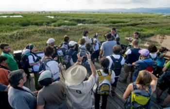 Agbar y el Instituto Catalán de Ornitología impulsan el voluntariado empresarial en el ámbito medioambiental