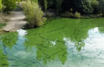 CIANOALERT: Alerta inteligente contra las floraciones nocivas de cianobacterias