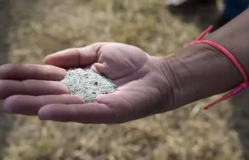 Científicos del CSIC estudian reutilizar zeolitas usadas en la potabilización del agua como fertilizantes agrícolas