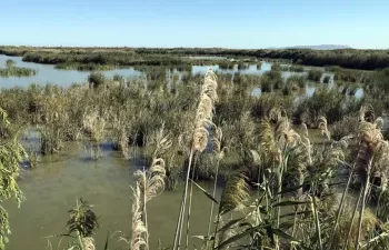 Un estudio analiza las posibilidades de abastecer a València con recursos procedentes de aguas subterráneas