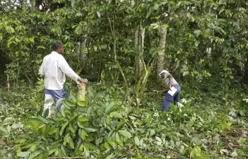 El papel de la agricultura en los objetivos de la Agenda 2030