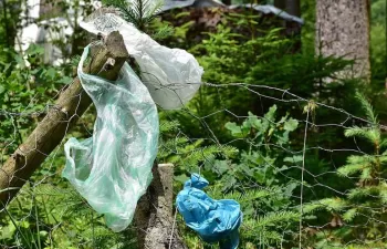 Basuraleza, un término para definir el problema ambiental del abandono de residuos en la naturaleza