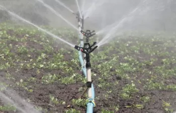 Nuevas técnicas para mejorar la eficiencia de uso de agua y nitrógeno en los sistemas de cultivo