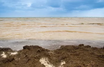 El Mar Menor lleva décadas enfermo