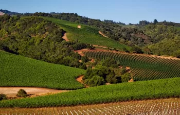 El territorio del Rioja ante el desafío del cambio climático