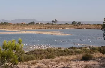 Global Omnium desarrollará en Les Salines de Calp un corredor verde para evitar su contaminación accidental