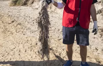 LIBERA recuerda el impacto en la naturaleza provocado por los residuos higiénicos provenientes del inodoro