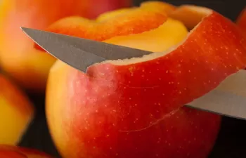 Residuos de manzana para producir biomateriales para regeneración óseo-cartilaginosa