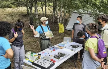 Transición Ecológica destinará 14 millones de euros a la conservación de las Reservas Naturales Fluviales