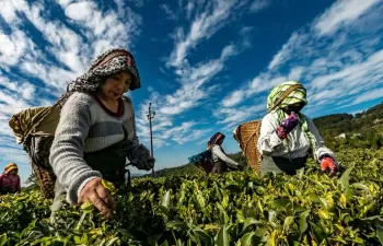 La desigualdad de género le da ventaja al cambio climático