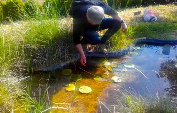 Investigan la incidencia de los químicos de la producción de plásticos en ecosistemas acuáticos