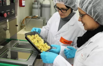 AINIA y AIMPLAS investigan cómo mejorar las propiedades de los bioplásticos comerciales