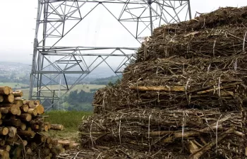 Europa defiende el uso de la biomasa como fuente de energía renovable ante los lobbies