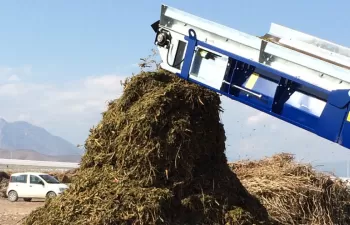 Residuos agrícolas de invernadero como biocombustible para la industria. Almería, fuente de energía