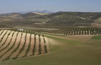 Una PAC más justa y sostenible basada en el conocimiento científico