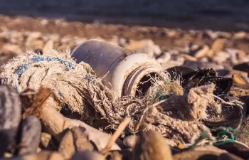 Más de un tercio de lo que se pesca frente a Barcelona es basura