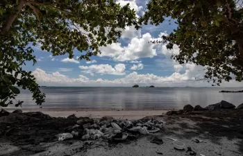 El sector turístico puede combatir la contaminación por plásticos durante la pandemia según la ONU