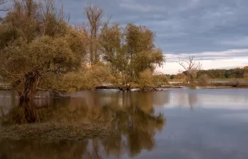 La Agencia Catalana del Agua impulsa el conocimiento sobre el impacto de las inundaciones