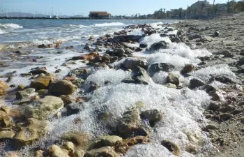 El Mar Menor podría sufrir un agotamiento de oxígeno y muerte masiva de organismos