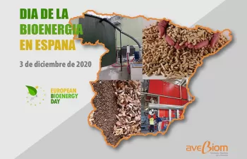 Día de la Bioenergía en España: casi un mes de autosuficiencia energética gracias a la biomasa