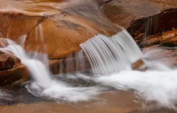 Alcaldes, científicos y comunidades a lo largo del río Misisipi se unen para abordar la contaminación por plásticos