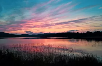 Humedales, soluciones naturales de gestión del agua que requieren inversiones para su conservación