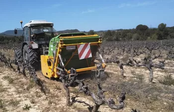 Aprovechar la energía de los sarmientos en el Penedès: un caso de éxito en Europa