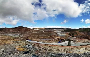 Cómo utilizar plantas y estiércol para extraer minerales de los suelos contaminados