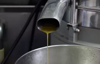 Proyecto RHODOLIVE: una segunda vida para las aguas residuales generadas en la producción de aceite de oliva