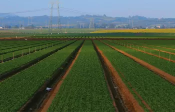 ¿Cuanto cuesta reducir las emisiones de gases de efecto invernadero en la agricultura?