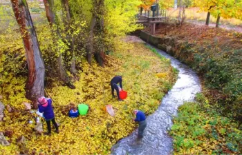 Riesgos ecológicos de metales, plaguicidas y fármacos en la Cuenca del Tajo