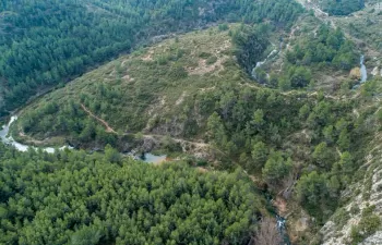 El Río Palancia vuelve a llevar agua después de cinco décadas gracias a los trabajos de recuperación fluvial