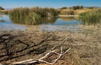 El análisis del impacto del cambio climático en las cuencas hídricas desde una nueva metodología