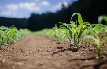 La Comisión Europea presenta la Hoja de ruta sobre emisiones de metano