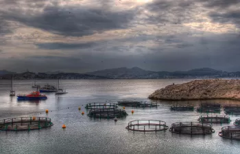 TAPAS, un proyecto para fomentar un crecimiento sostenible de la acuicultura en Europa