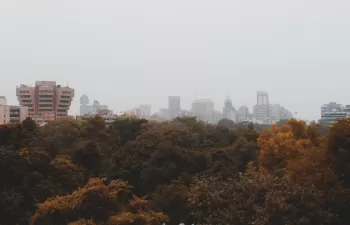 La concentración de dióxido de carbono sigue en aumento pese a la pandemia