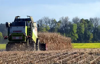 Nuevos pasos para un mayor uso de la biomasa en Europa