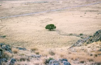 Sale a información pública el proyecto de Estrategia Nacional de Lucha contra la Desertificación