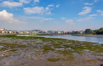 Arranca la contratación de las obras de dragado ambiental de la ría de O Burgo