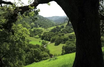 Saint-Gobain PAM se suma a los objetivos del Día Mundial del Medio Ambiente