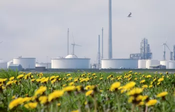 Aprovechando la capacidad química de la naturaleza para una producción industrial más sostenible