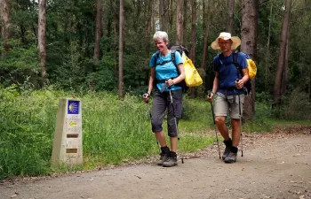 Ecoembes impulsa un Camino de Santiago concienciado con el reciclaje y libre de basuraleza