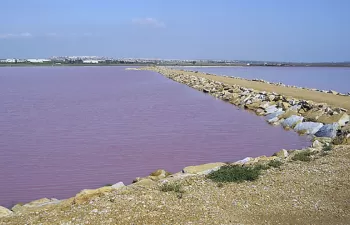 La entrada de aguas de diferente salinidad, principal presión antrópica de las lagunas de "La Mata-Torrevieja"