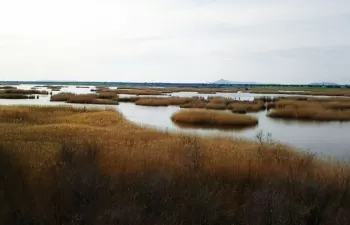 Conoce las Tablas de Daimiel de la mano de ACCIONA Agua